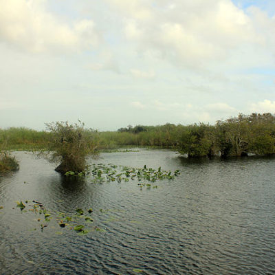 Everglades