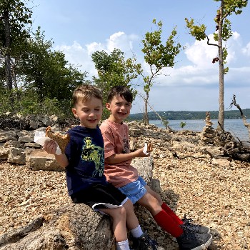 picnic lunch