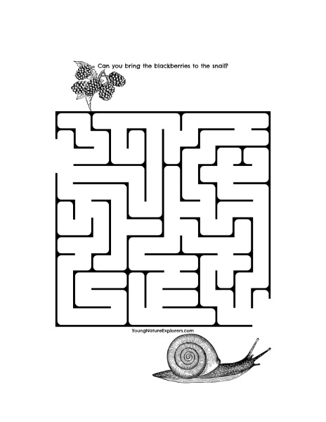 Snail Maze Free Printable