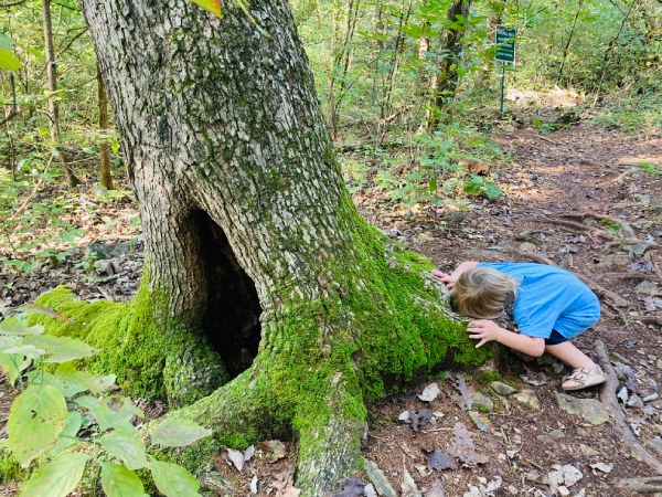 exploring nature with children